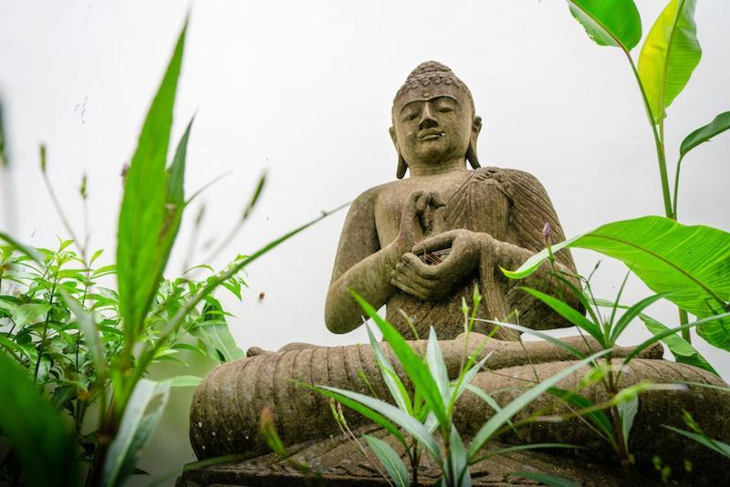 Villa Amrita Ubud Dış mekan fotoğraf