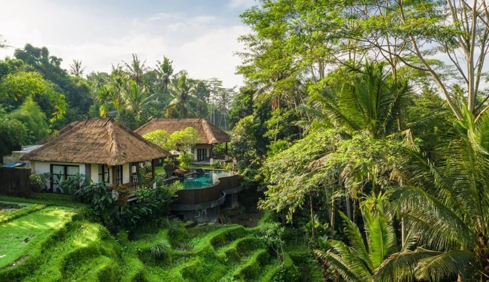 Villa Amrita Ubud Dış mekan fotoğraf